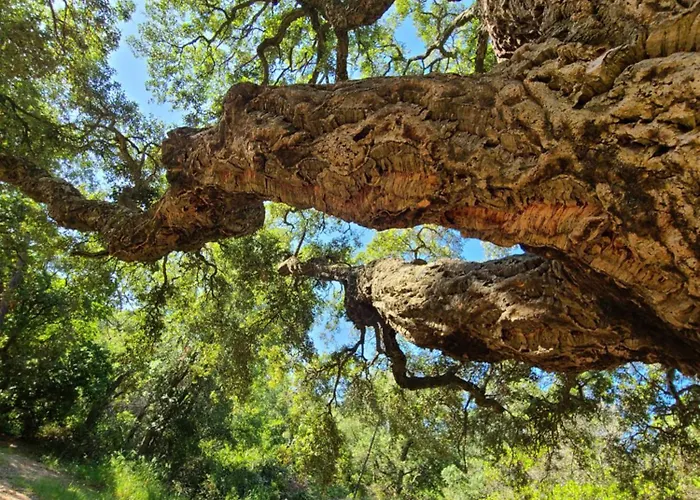 Cap'azur T2 - Rdj - Vue Golf *