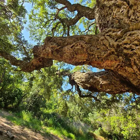 Evasion Nature A Cap Esterel Jardin, & Golf Confort *
