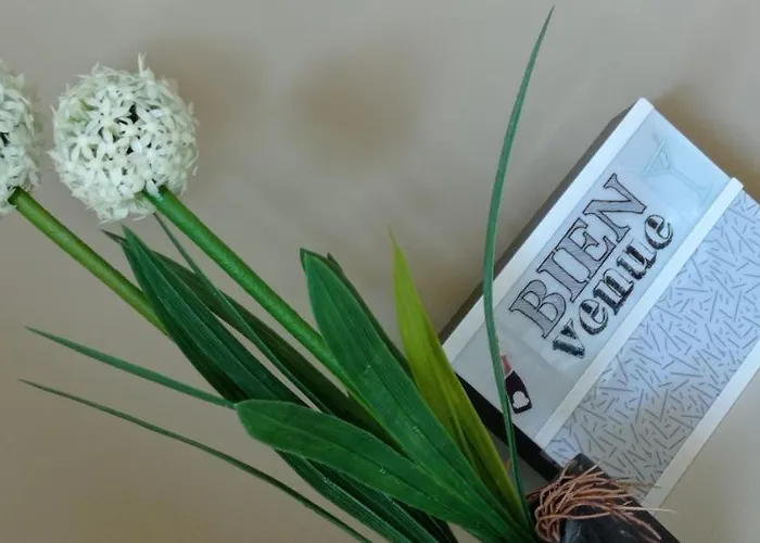 Cap'azur T2 - Rdj - Vue Golf Apartment Saint-Raphaël