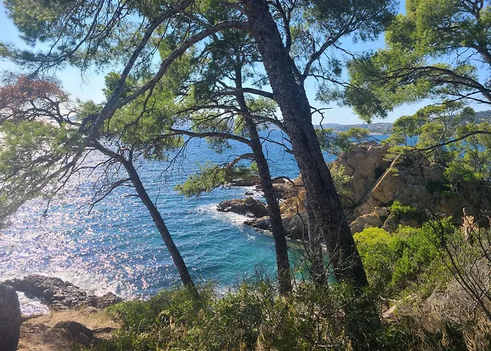 Cap'azur T2 - Rdj - Vue Golf Saint-Raphaël